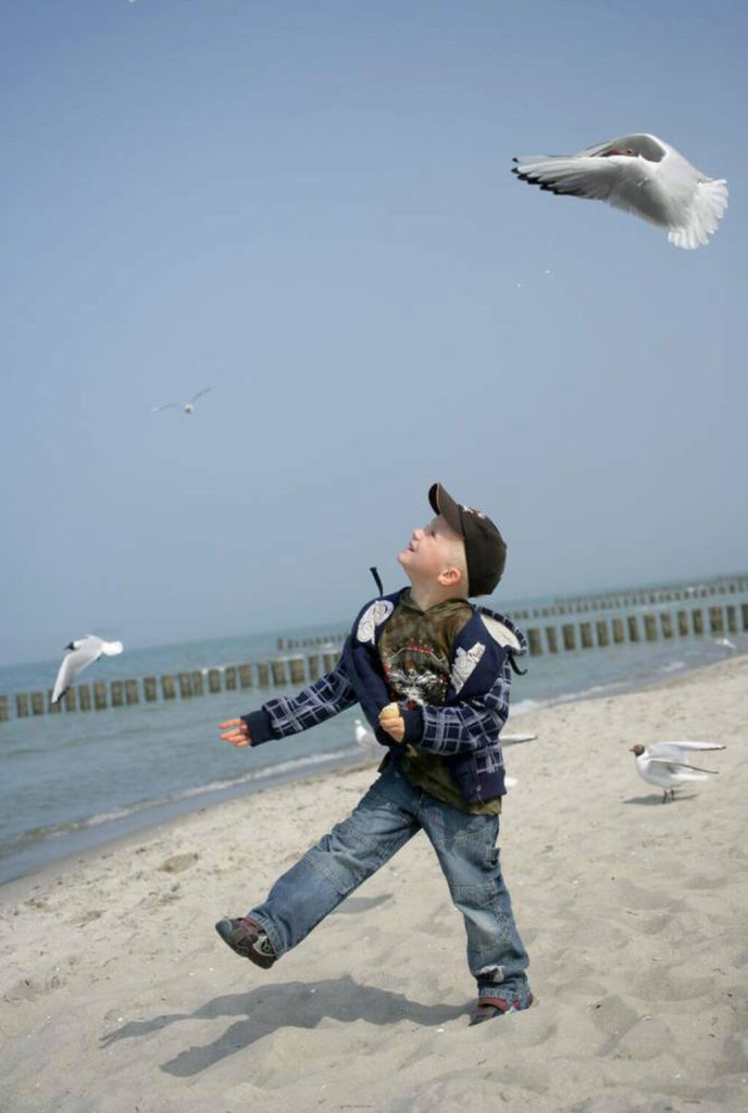 Ein Junge am Strand blickt nach oben zu kreisenden Möwen.