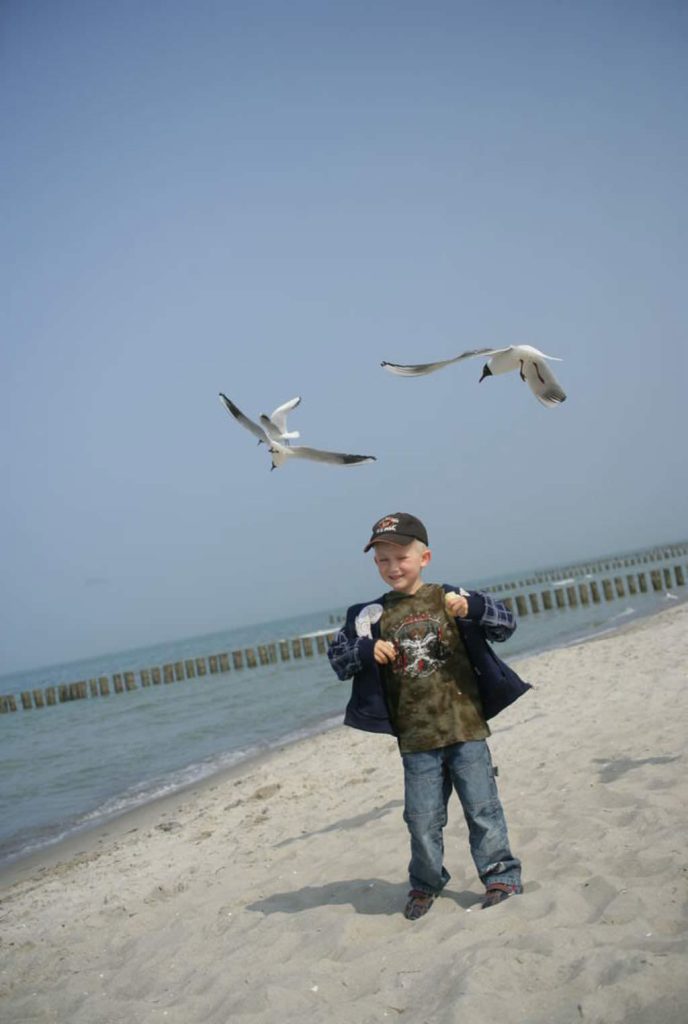 Ein Junge steht am Strand der Ostsee, über ihm kreisen Möwen,